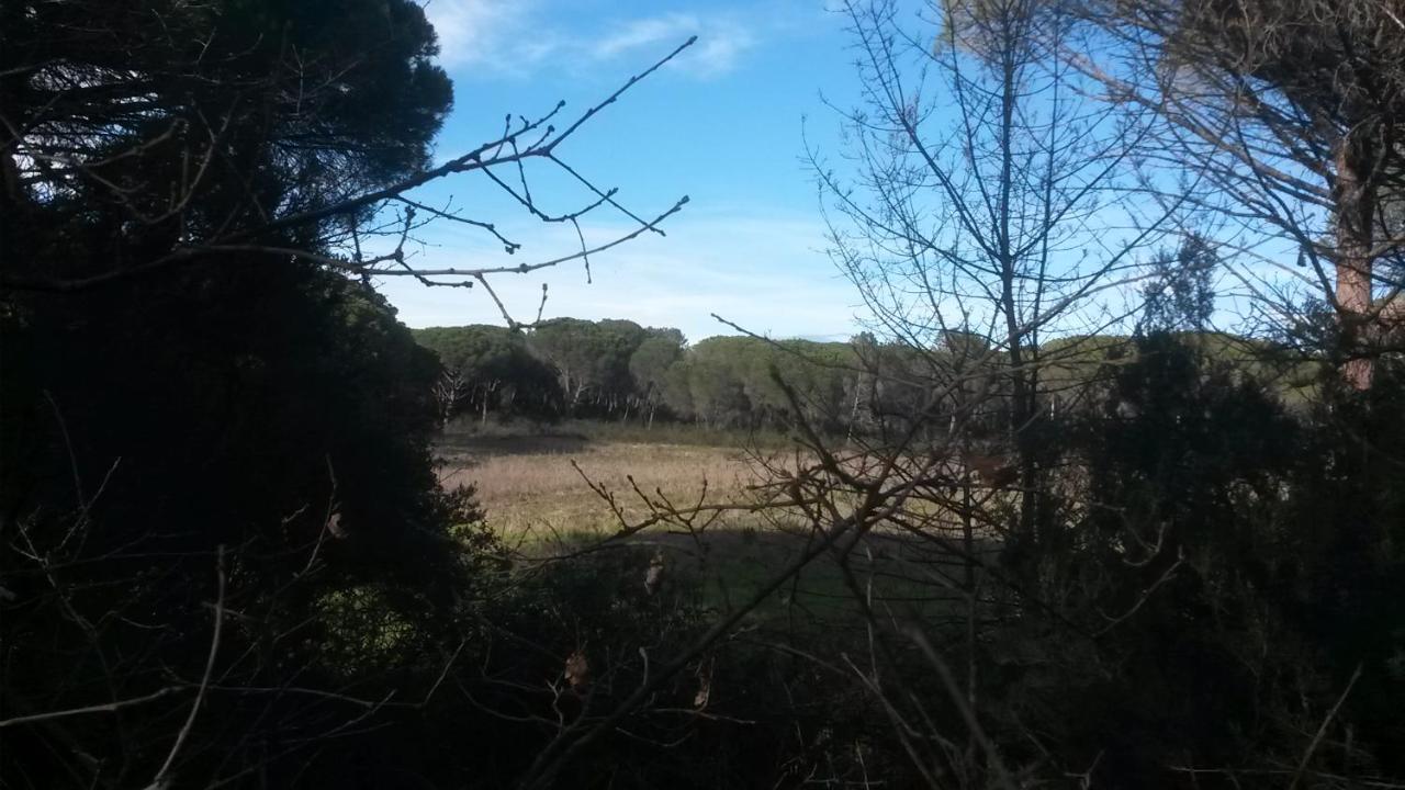 Les Mayombes - B&B