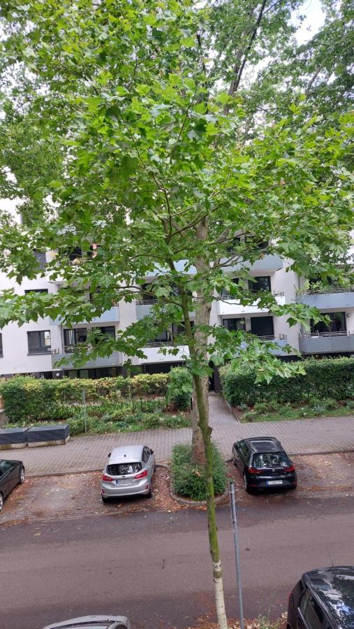 Ferienwohnung Mannheim Hbf Center University - B&B Mannheim