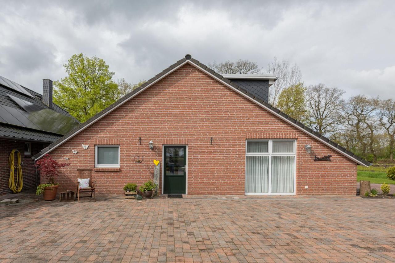 Ferienwohnung Birken Allee, 35181 - Ferienwohnung Schwerinsdorf