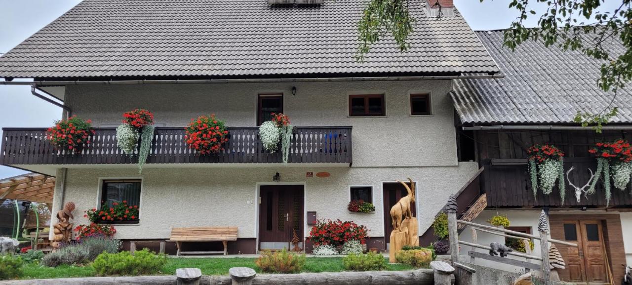 Apartmaji pri Dolinarju - B&B Bohinjska Bistrica