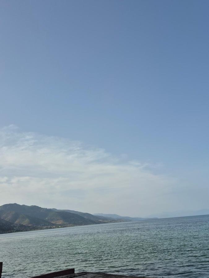 Apartament Pogradec 50m to Lake - B&B Pogradec