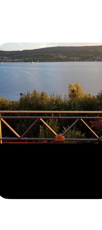 Schönes Doppelzimmer mit Bad, Seeblick und Pool - B&B Horgen