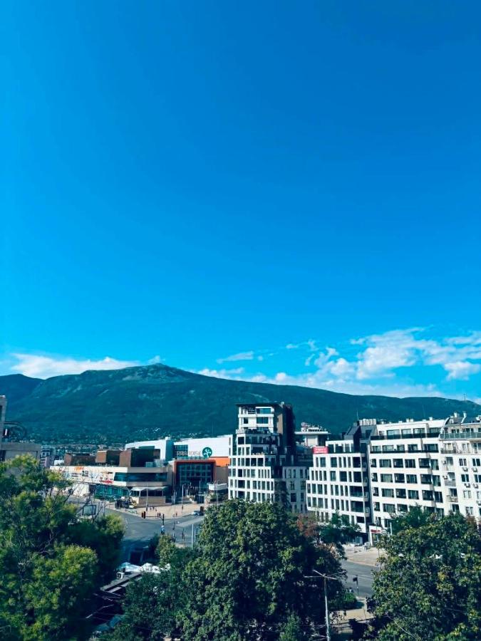 Spacious apartment with a Mountain view, big balcony and parking - Chambres d'hôtes Sofia