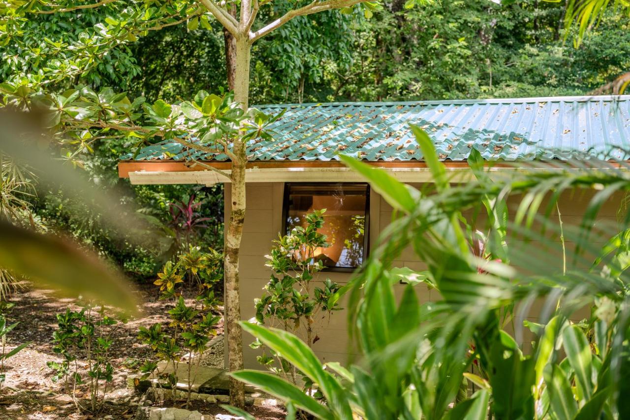 Feeling Trees Jungle Lodge - B&B Cabuya