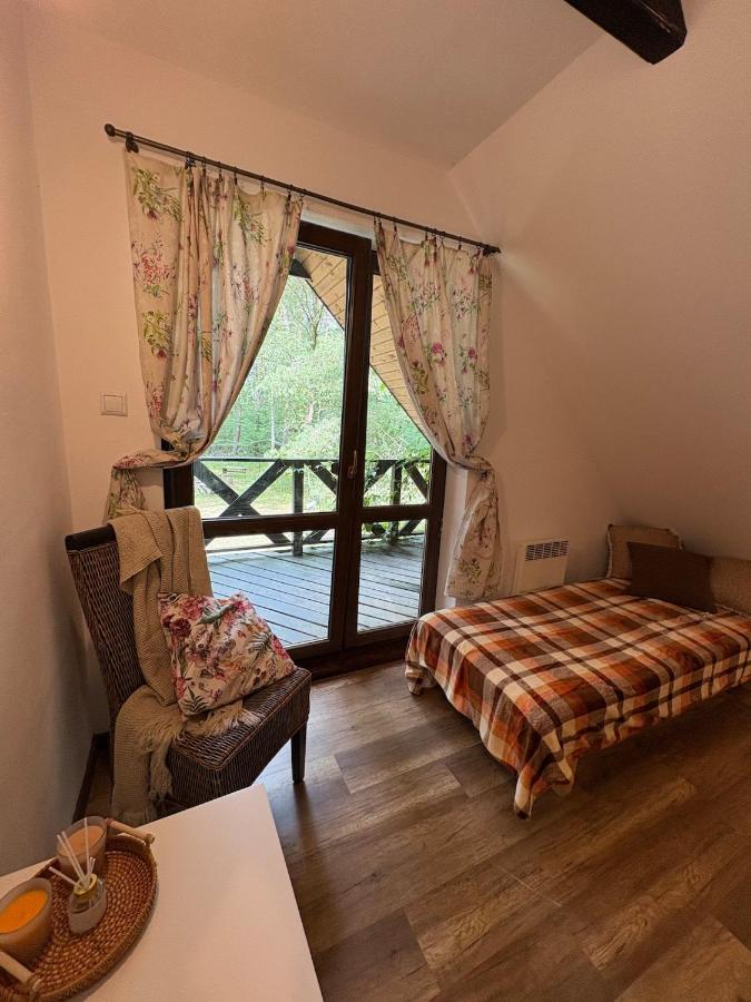 Domek w lesie - B&B Baliki