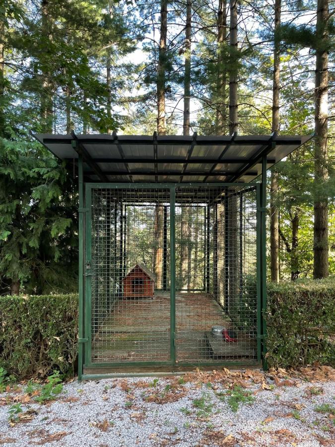 Prandin Vacation Home for 2 guests - B&B Villanova Mondovì