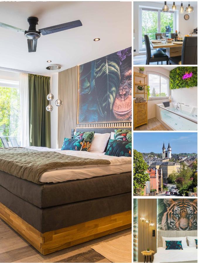 Tropengeflüster Penthouse in Hof, Whirlpool, Balkon, Webergrill, Smart-Checkin, Parkplatz, Wlan600Mbit - B&B Hof