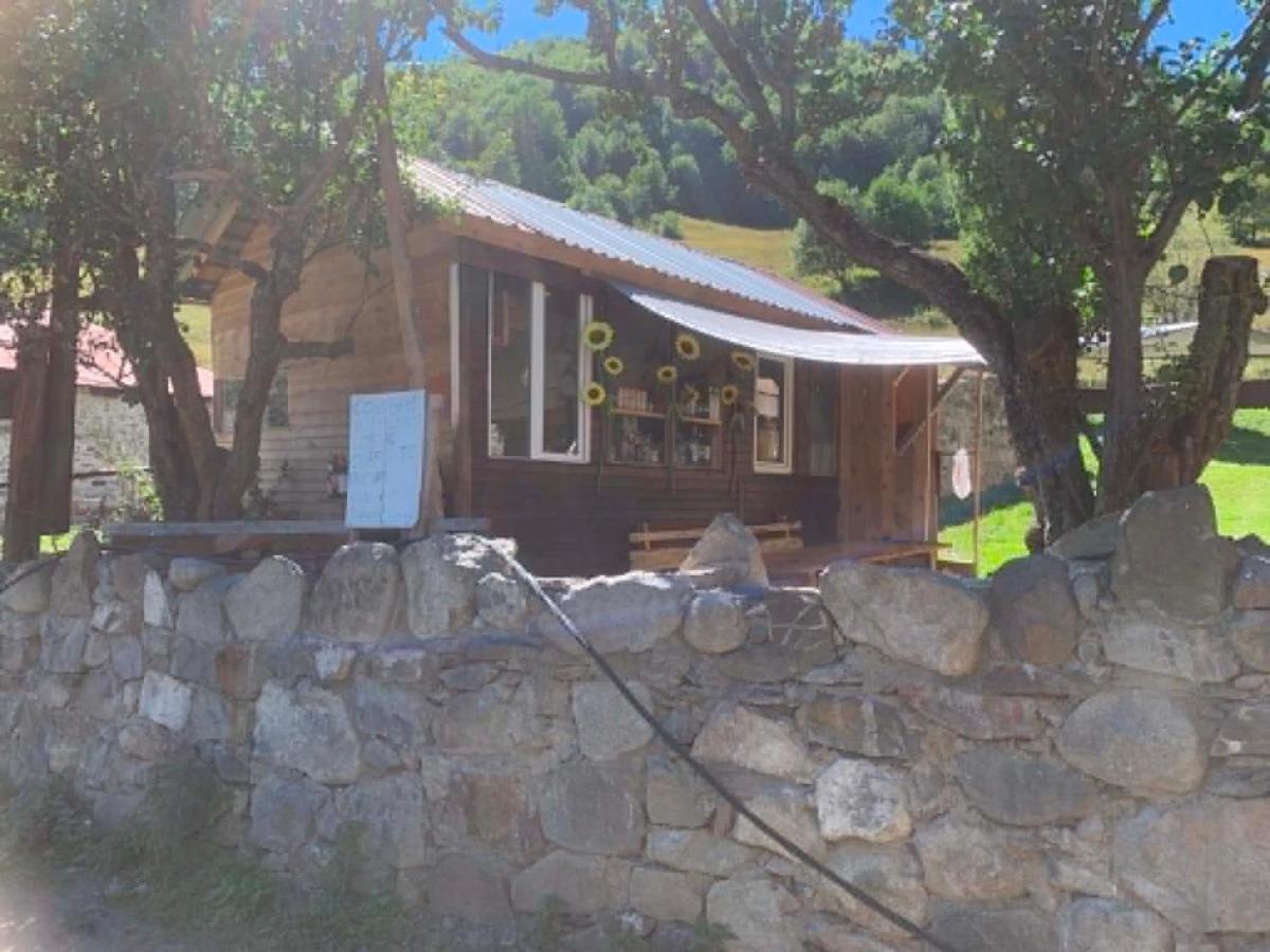Guest house Terrassa Tvebishi - Bed and Breakfast Mestia