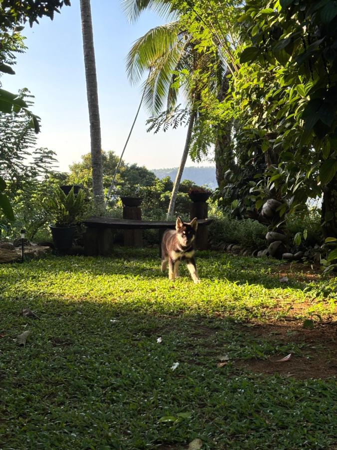 Sampath State - B&B Koslanda