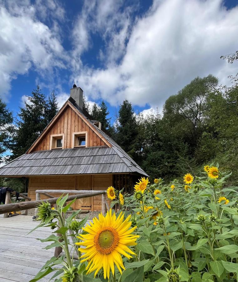 Osada Berdo -najpiękniejszy widok w Bieszczadach - B&B Chmiel