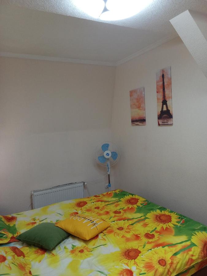 Центр 2 спальні , 5 місць - B&B Mukachevo