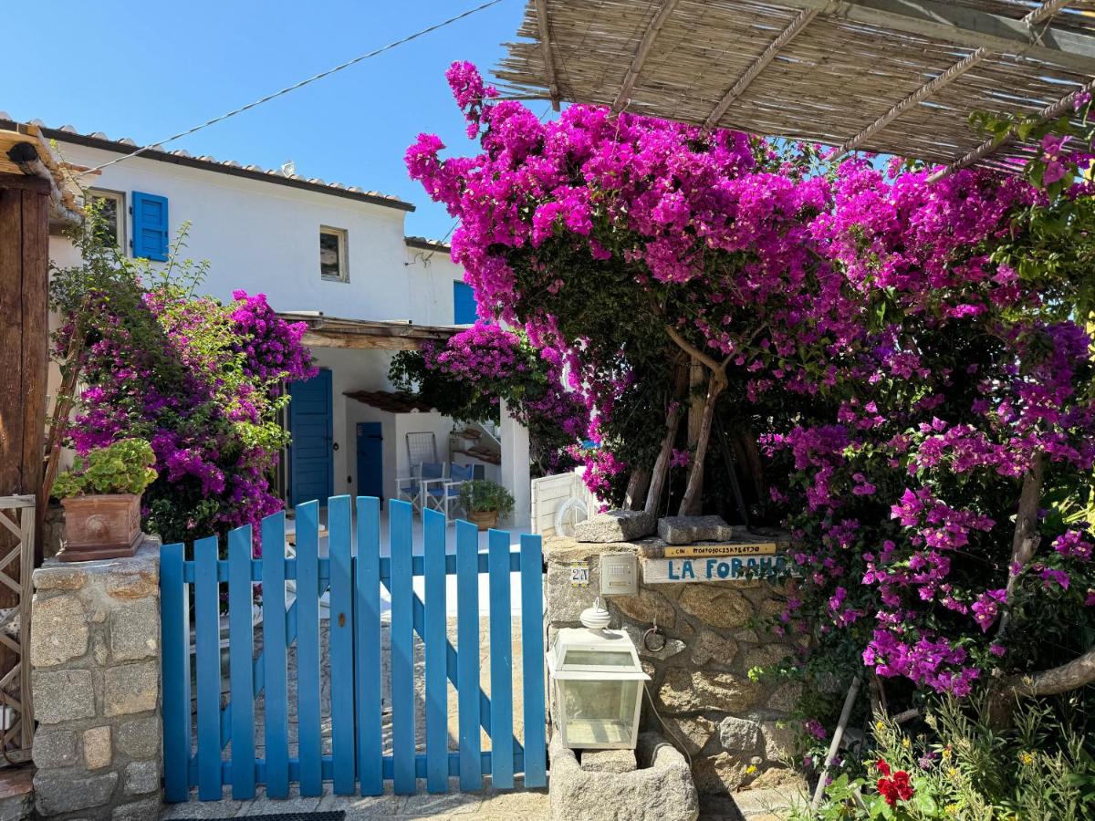 Cottage La Forana - B&B Chiessi