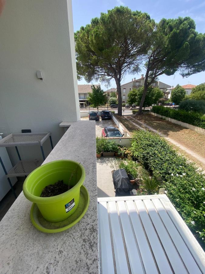 Savoia Apartment - Bed and Breakfast Sant'Eraclio