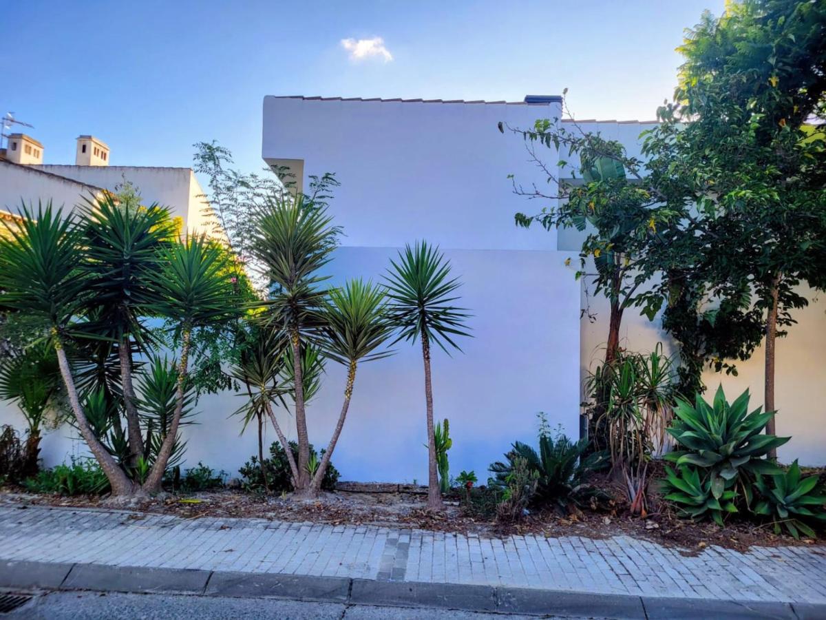 Family house with nice garden 10min from Sanlúcar - B&B Sanlúcar de Barrameda