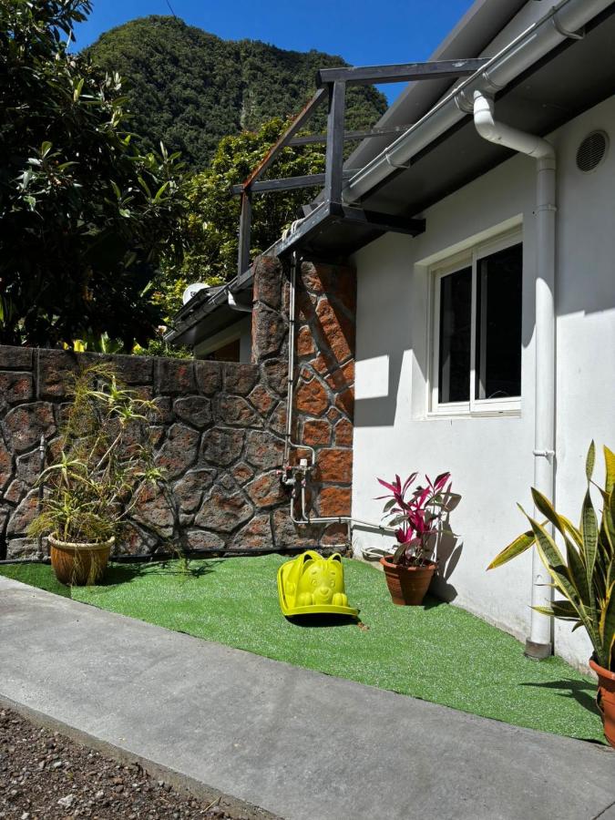 Au monstera, chez Tatou - B&B Saint-Joseph