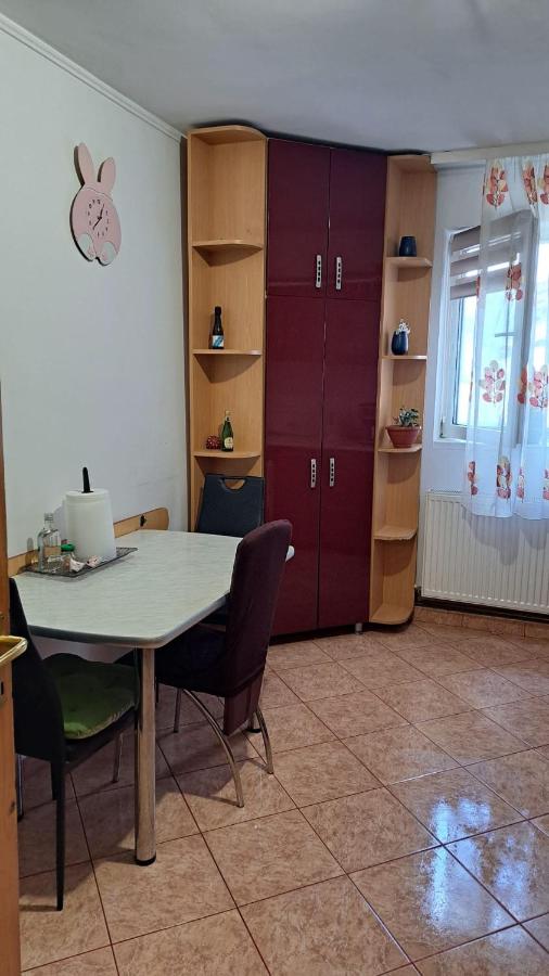 Diana - Chambres d'hôtes Bistriţa