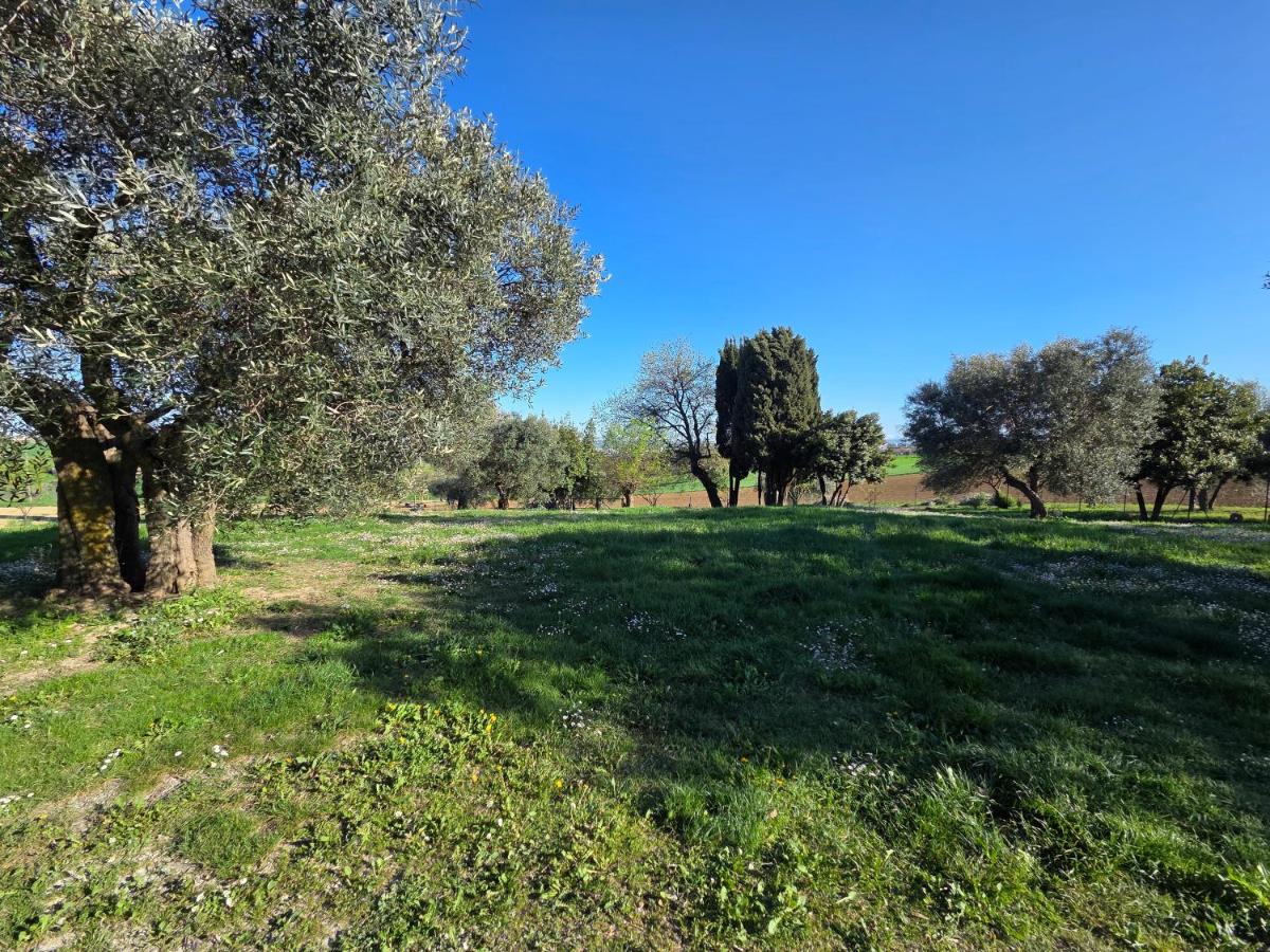 Villa Nada - B&B Appignano