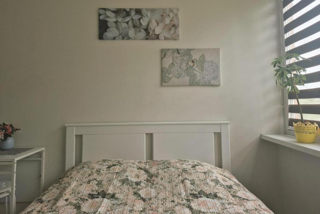 Taikos Studio 7, self check-in - Bed and Breakfast Klaipėda