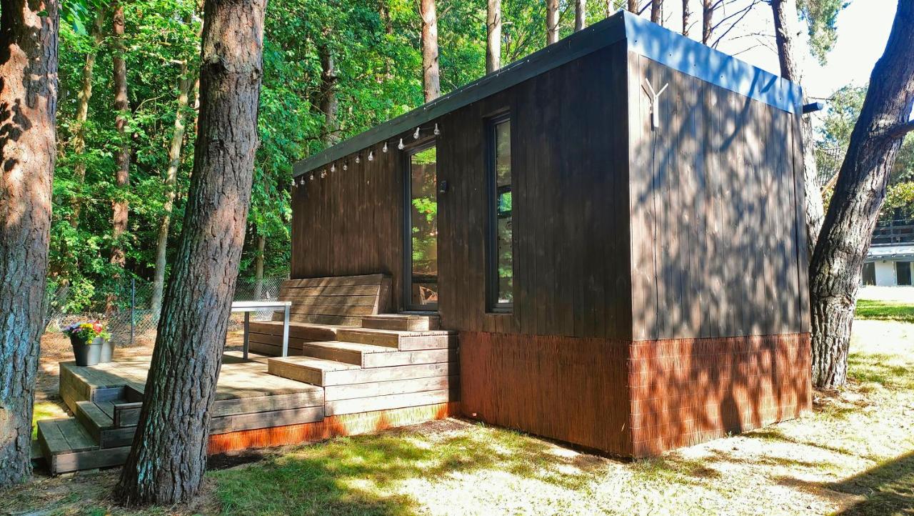 Między Drzewami - Between the Trees - Wisełka - B&B Wisełka