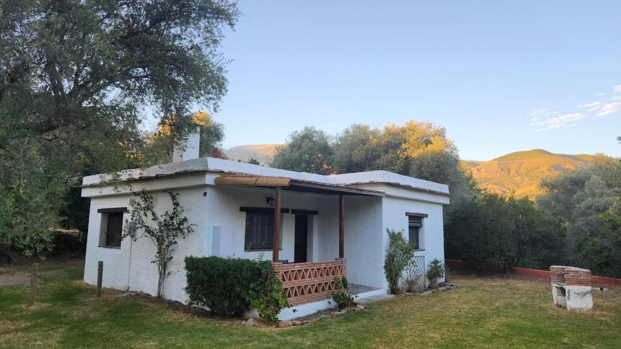 Los Olivos Centenarios - B&B Órgiva