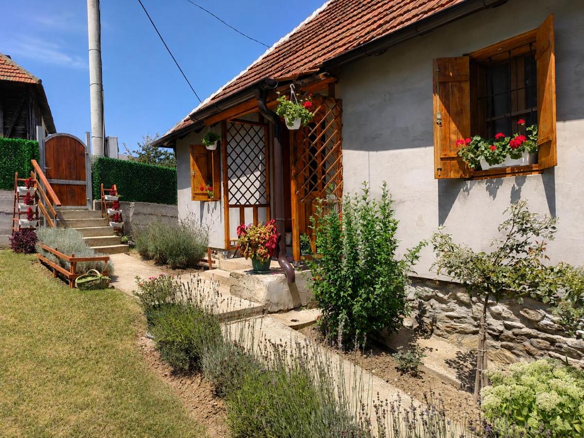 Poslonski Konak Private House near A1 & E75 Highway - Ferienwohnung Poslon
