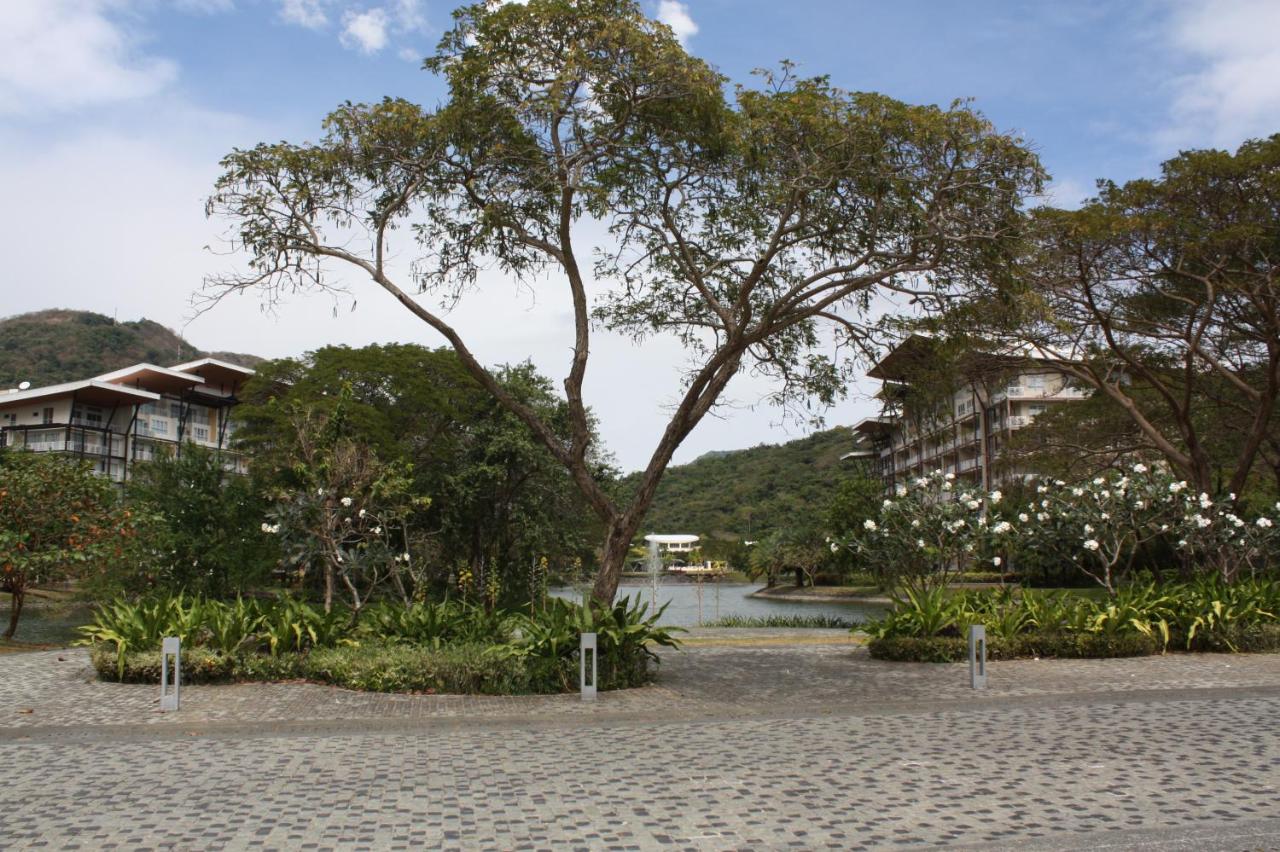 Unit 507 Pico De Loro - B&B