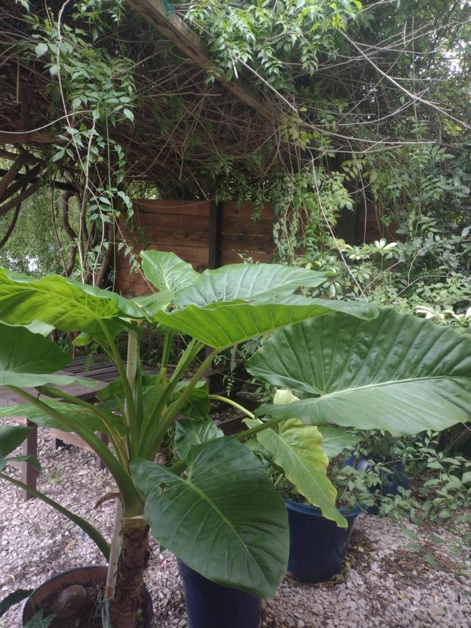 Studio avec Vue sur Jardin
