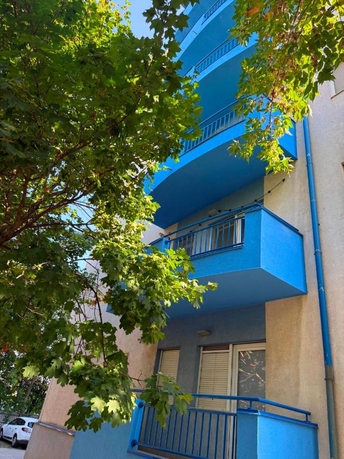 Los Palos Apartament - B&B Timişoara