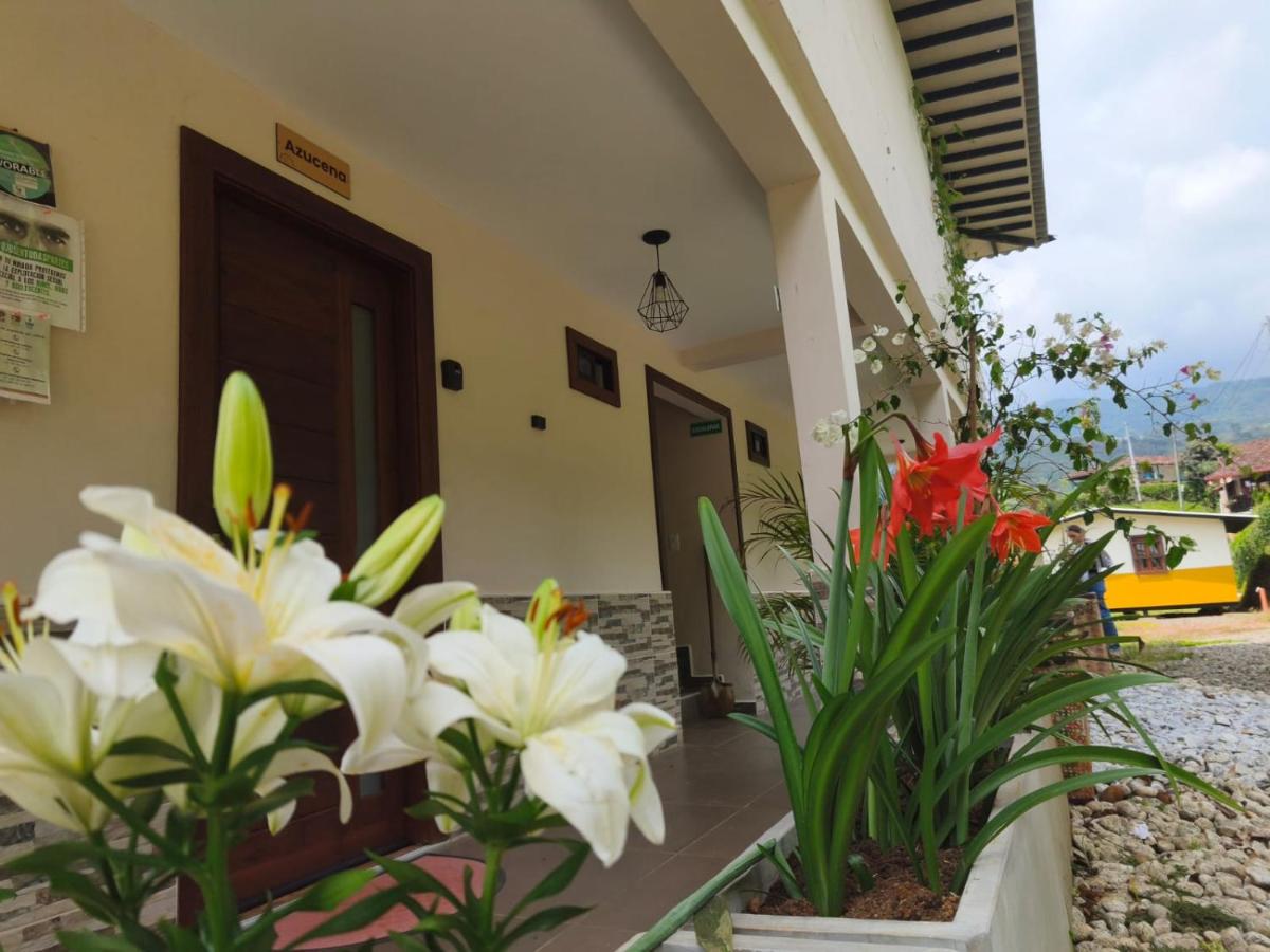 Habitación Tulipanes , Jardín de azucenas - B&B Jardín