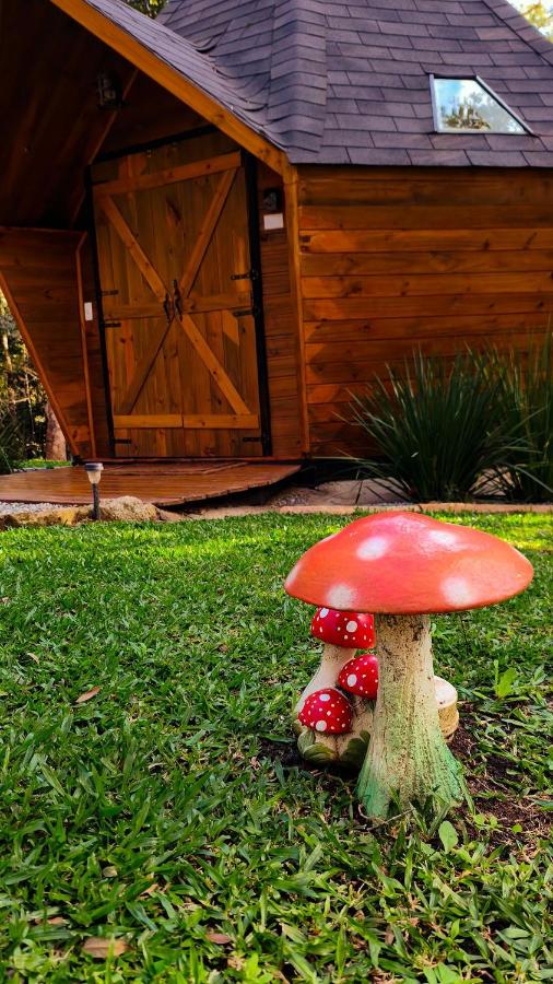 Cabana Diamante na Floresta | Hidro|Ar|Fogueira - Bed and Breakfast Gonçalves