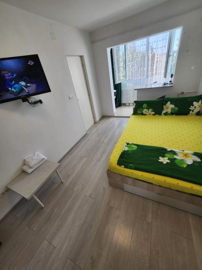 DIVESSA LUXURY STUDIO, self check-in non-stop, privacy - B&B Arad