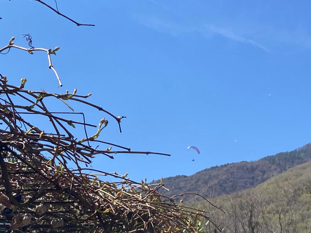 B&B La Maisonnette - B&B Borso del Grappa