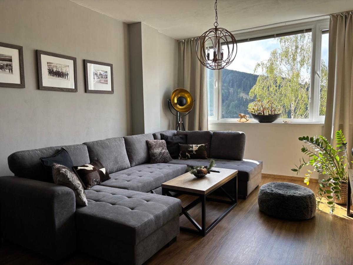 Apartment Elis - B&B Špindlerův Mlýn