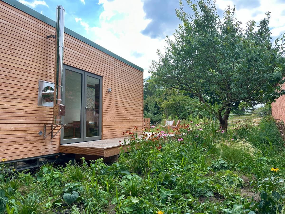 Minimalist Design Cabin mit See- und Wiesenzugang - B&B Walsrode