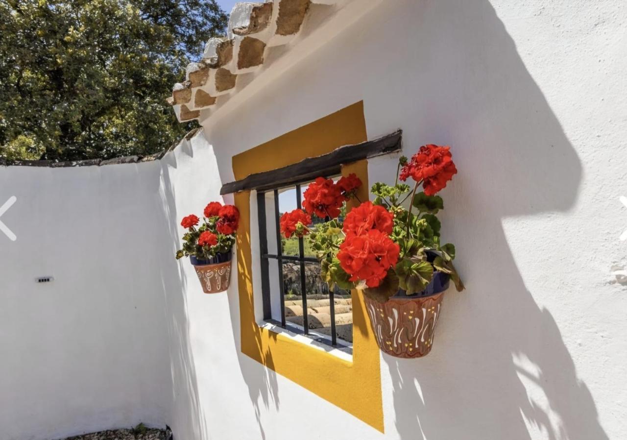 Finca Todos - B&B Archidona