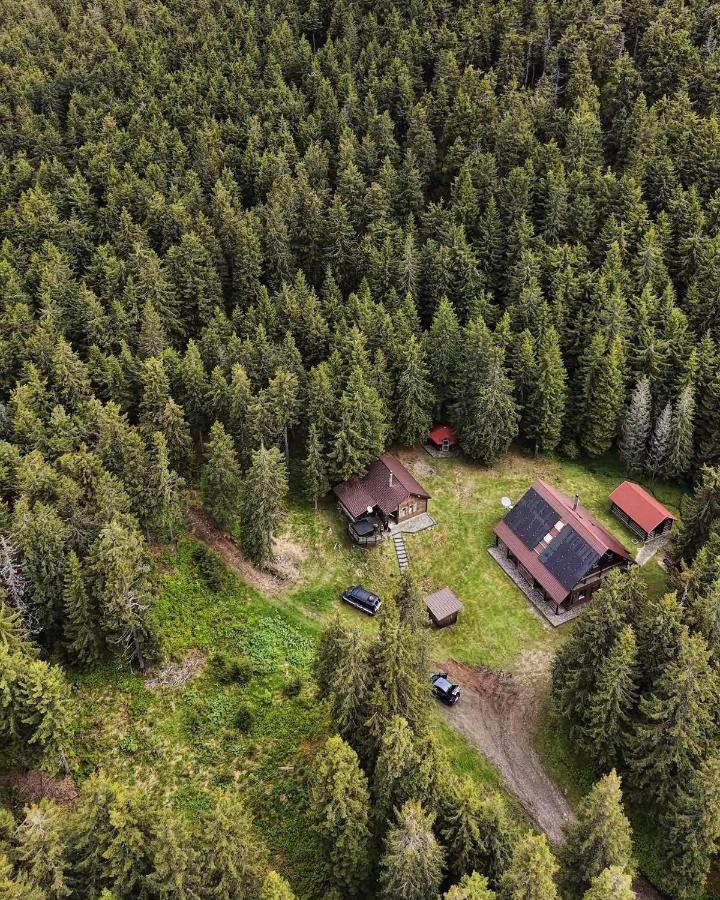 Natura BH - B&B Izvoare