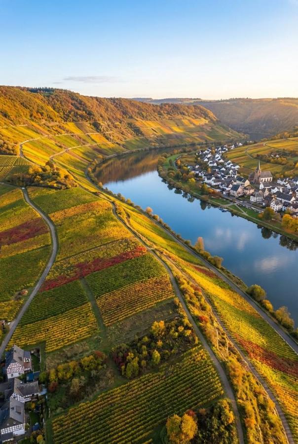 Ferienwohnung MY Home - zwischen Eifel und Mosel - B&B Bausendorf