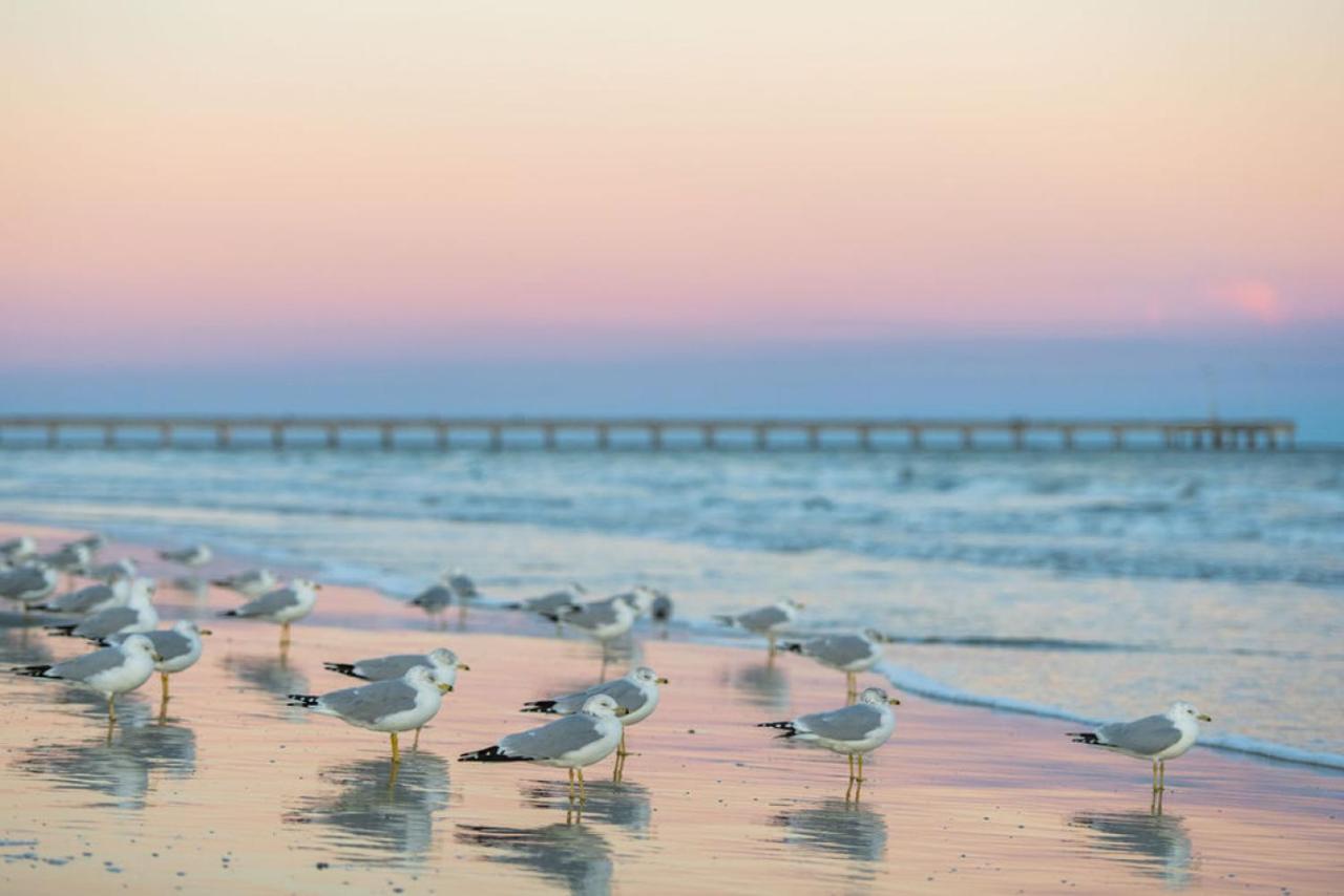 Sea of Tranquility - B&B Port Aransas