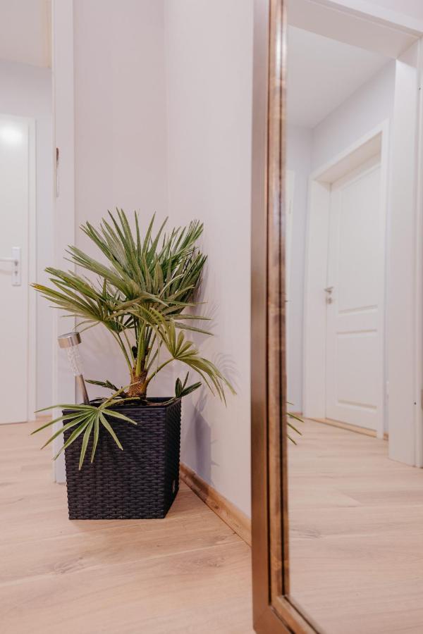 Ferienwohnung Palm SPA - Chambres d'hôtes Meckesheim