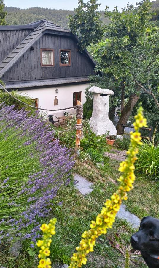 Špania Dolina apartment Sonnenberg - B&B Špania Dolina