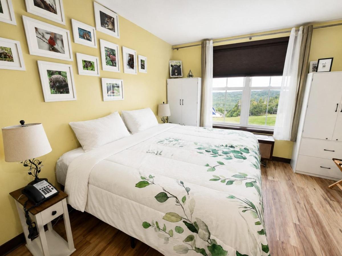 Expedition Station 114 Studio Next To Ski Slope WiFi Village - B&B Slaty Fork