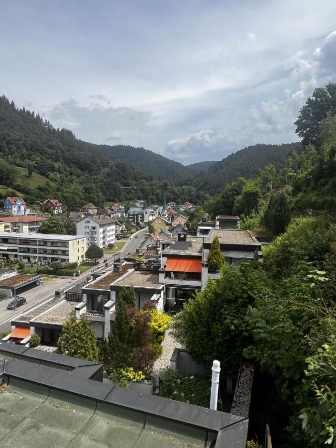 Terrassen am Viadukt - Chambres d'hôtes Hornberg