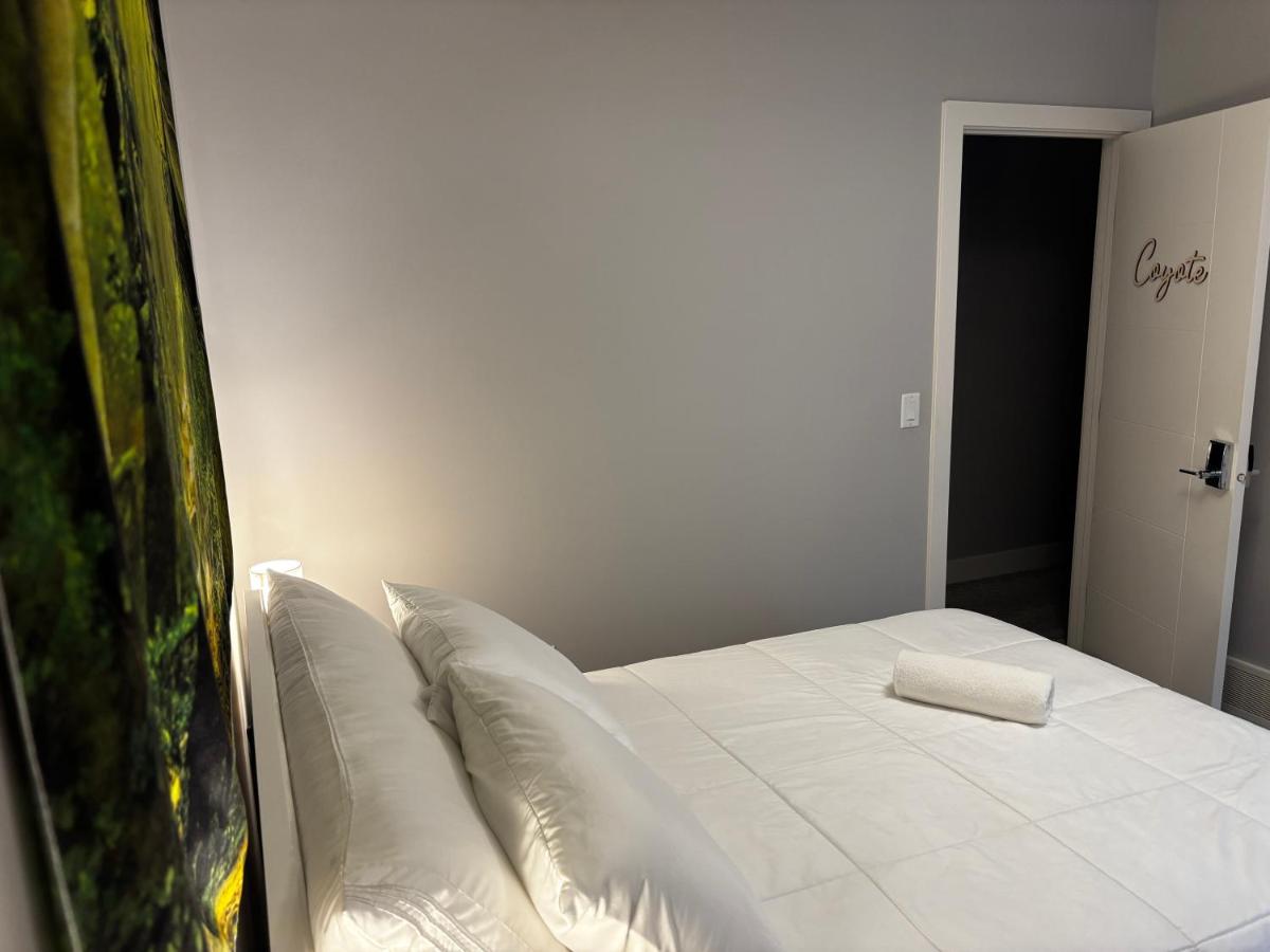 Double Room with Shared Toilet