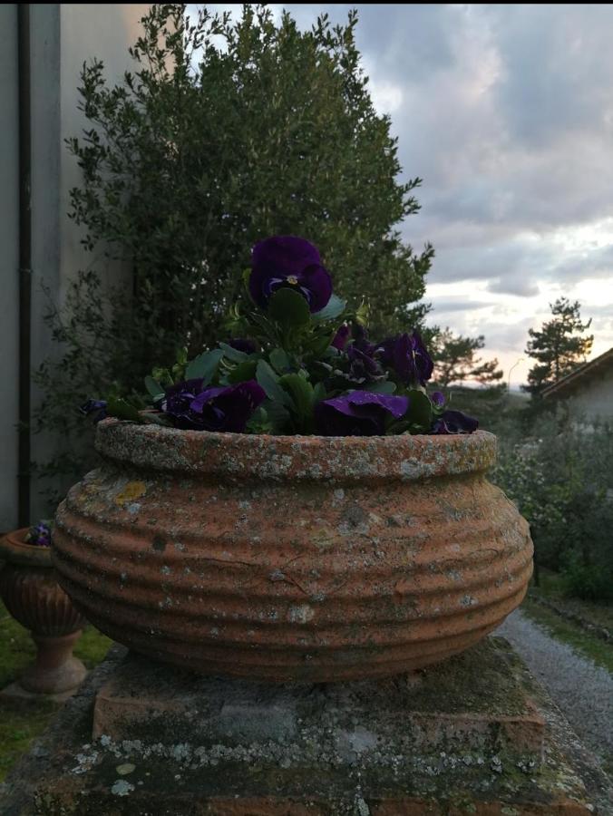 Panoramic apartment in Trequanda, Siena - B&B Trequanda