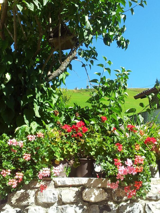 Alpenperle - B&B Berwang