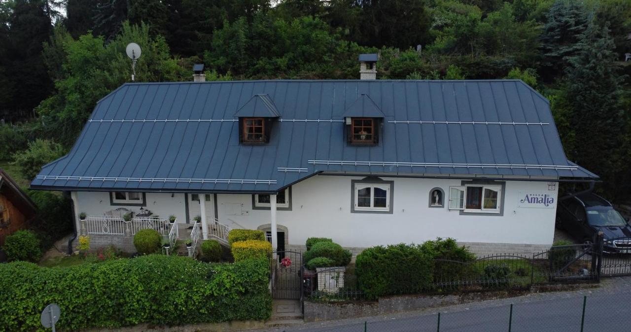 Villa Amalia, centrum Banska Stiavnica, parkovanie pre 2 auta, velka zahrada s krbom, cela Villa Amalia pre 16 osob alebo samostatne nezavisle prve podlazie Villa AMA pre 8 osob alebo samostatne nezavisle podkrovie Villa LIA pre 8 osob,prístup cez PIN-kód - B&B Banská Štiavnica
