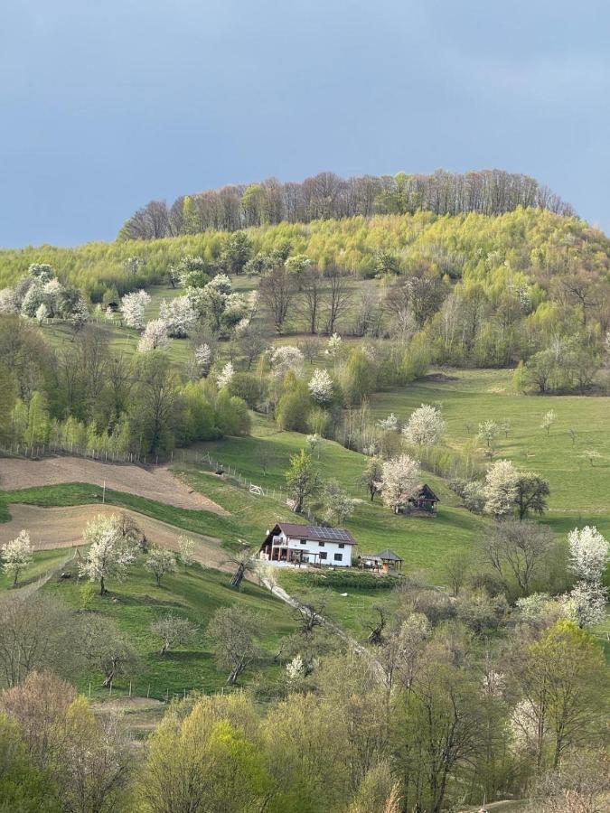 Cabana Colț de liniste - Bed and Breakfast Feldru