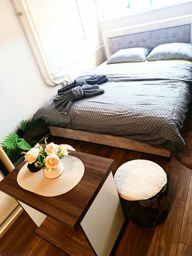 PANORAMA SPA apartman - B&B Kraljevo