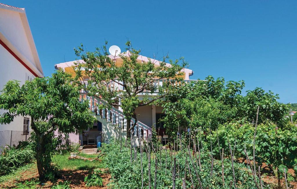 Apartments ZZ - Bed and Breakfast