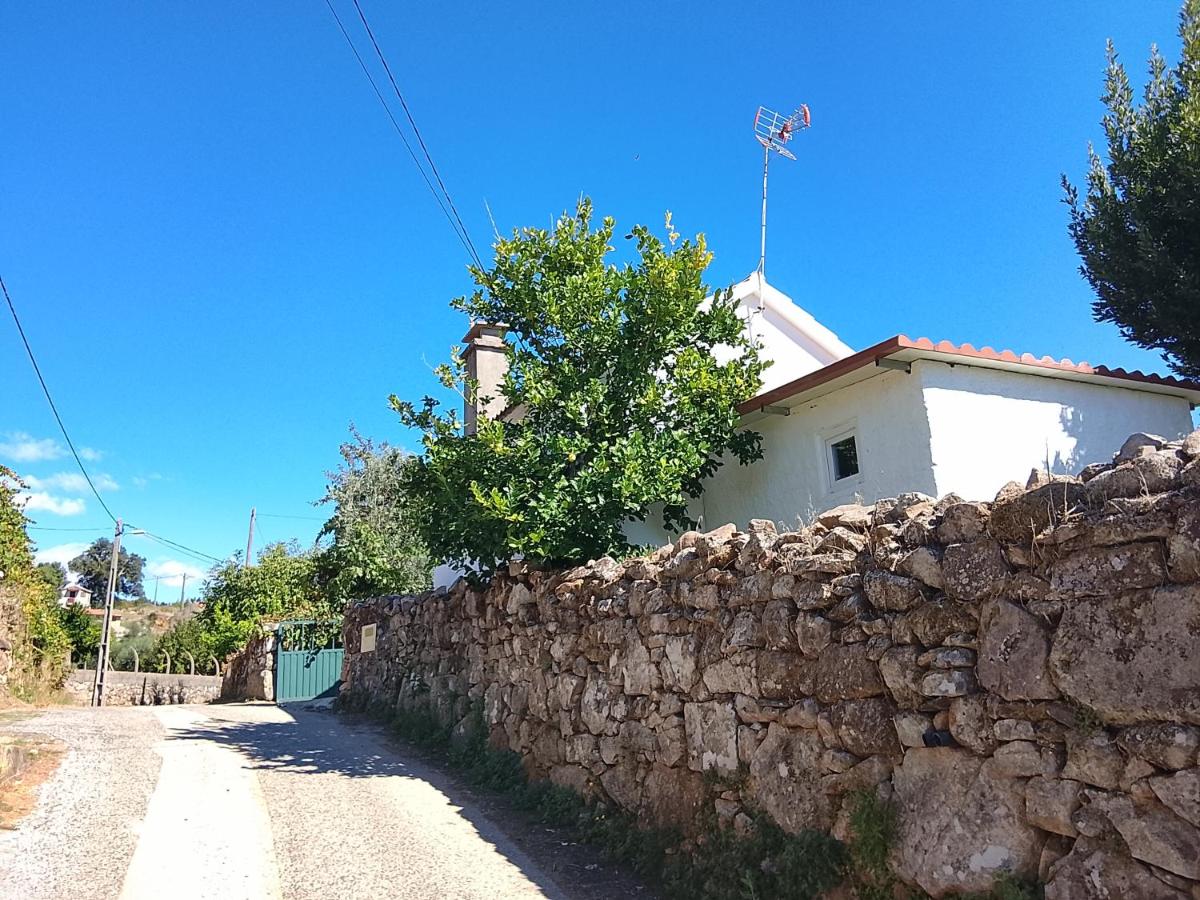 Tiny Cottage - B&B Sertã